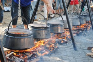 halfozes_155_264_2010081080331_284